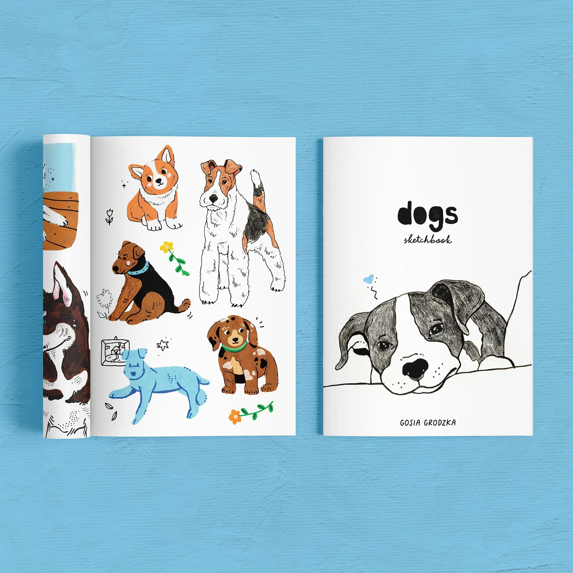 Cats Sketchbook Zine - Gosia Grodzka Illustration